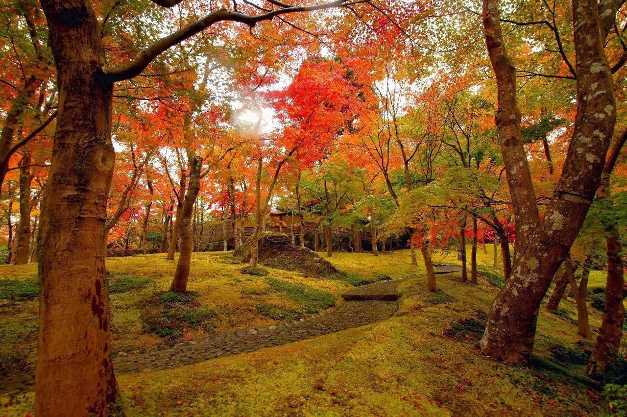 Jemsty Inn Hakone Ashinoko Kültér fotó